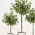 Florist Ficus Benjamina Design Set 3D model small image 2