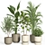  Modern Indoor Plant Set 3D model small image 1