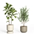  Modern Indoor Plant Set 3D model small image 3