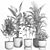  Modern Indoor Plant Set 3D model small image 4