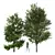 Diverse 3D Tree Models Set 3D model small image 1