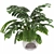 Monstera Plant Collection Set 3D model small image 1