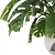 Monstera Plant Collection Set 3D model small image 4