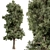 Pine Cypress Tree Set 162 3D model small image 1