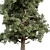 Pine Cypress Tree Set 162 3D model small image 2