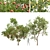 Fruit Tree 3D Models Set 3D model small image 1