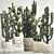 Desert Cacti Collection in Concrete Planters 3D model small image 1