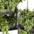 Premium Hanging Plant Collection - HD Quality 3D model small image 3