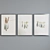 Modern Fish Picture Frame Set 3D model small image 4