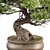 Bonsai Plant 491 - Indoor Beauty 3D model small image 2