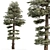 Evergreen Tree Set Bundle 3D model small image 1