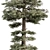 Evergreen Tree Set Bundle 3D model small image 2