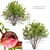 Punica Granatum Tree Set 3D model small image 1