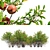 Punica Granatum Tree Set 3D model small image 5