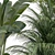 Plant Collection 84: 3D Models 3D model small image 5