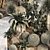 Desert Oasis Plant Collection 3D model small image 6