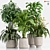 Set of Indoor Plants Icons 3D model small image 1