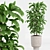 Set of Indoor Plants Icons 3D model small image 2