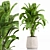 Set of Indoor Plants Icons 3D model small image 5