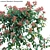 Growth-Ready 3D Honeysuckle Models 3D model small image 2