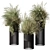 500 Indoor Tree Bush Set 3D model small image 1