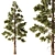 Pine Forest 3D Model Set 3D model small image 1