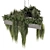 High-Quality Hanging Ampelous Bush Model 3D model small image 2