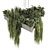 High-Quality Hanging Ampelous Bush Model 3D model small image 4