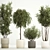 Elegant Potted Tree Set, 1221 3D model small image 2