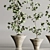 Modern Indoor Plant Set 105 3D model small image 3