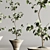 Modern Indoor Plant Set 105 3D model small image 5