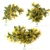 Mimosa Bouquet Collection for 3D 3D model small image 1