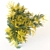 Mimosa Bouquet Collection for 3D 3D model small image 2