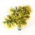 Mimosa Bouquet Collection for 3D 3D model small image 3