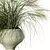 Nature's Harmony Grass Pampas Ensemble 3D model small image 3