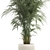 Modern Exotic Palm Plant Décor 3D model small image 2