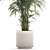 Modern Exotic Palm Plant Décor 3D model small image 3