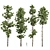 Pine Tree 3D Models Bundle 3D model small image 1