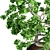 Artisan Bonsai Tree Set 3D model small image 3