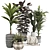 Boho Plant Collection Set 95 3D model small image 1