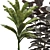 Boho Plant Collection Set 95 3D model small image 5