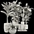 Boho Plant Collection Set 95 3D model small image 7