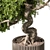  Tranquil Bonsai Indoor Plant 3D model small image 2