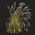 Golden Spike Ornamental Grass Model 3D model small image 4