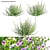 Versatile 3D African Mallow Model 3D model small image 1