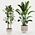 Vibrant 3D Plants Set 20 3D model small image 2