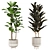 Vibrant 3D Plants Set 20 3D model small image 5