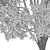  Blossoming Callery Pear Trees x2 3D model small image 7