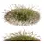 Golden-Spiked HQ Grass Ornament 3D model small image 1