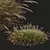 Golden-Spiked HQ Grass Ornament 3D model small image 4